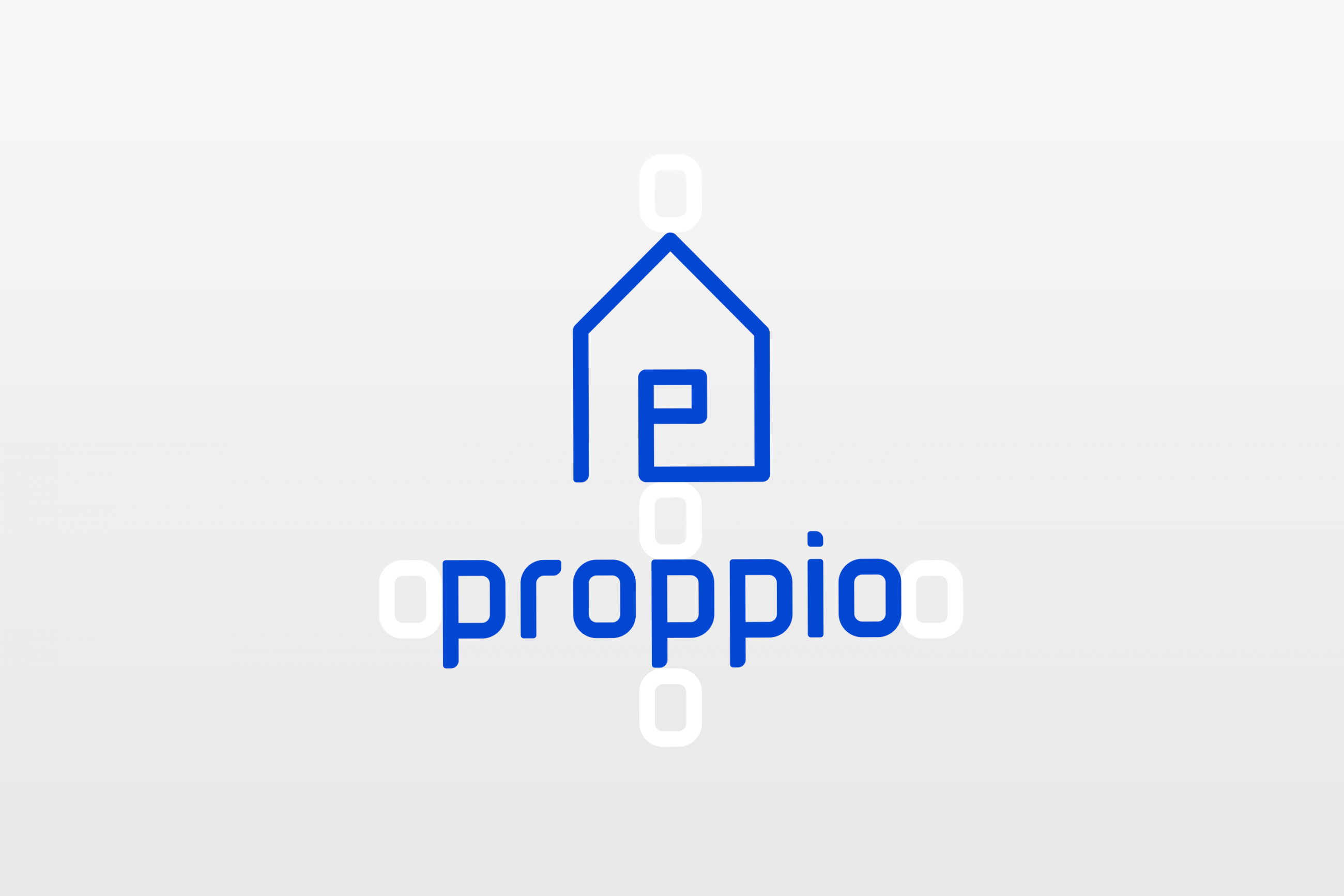 Proppio Brand identity & positioning