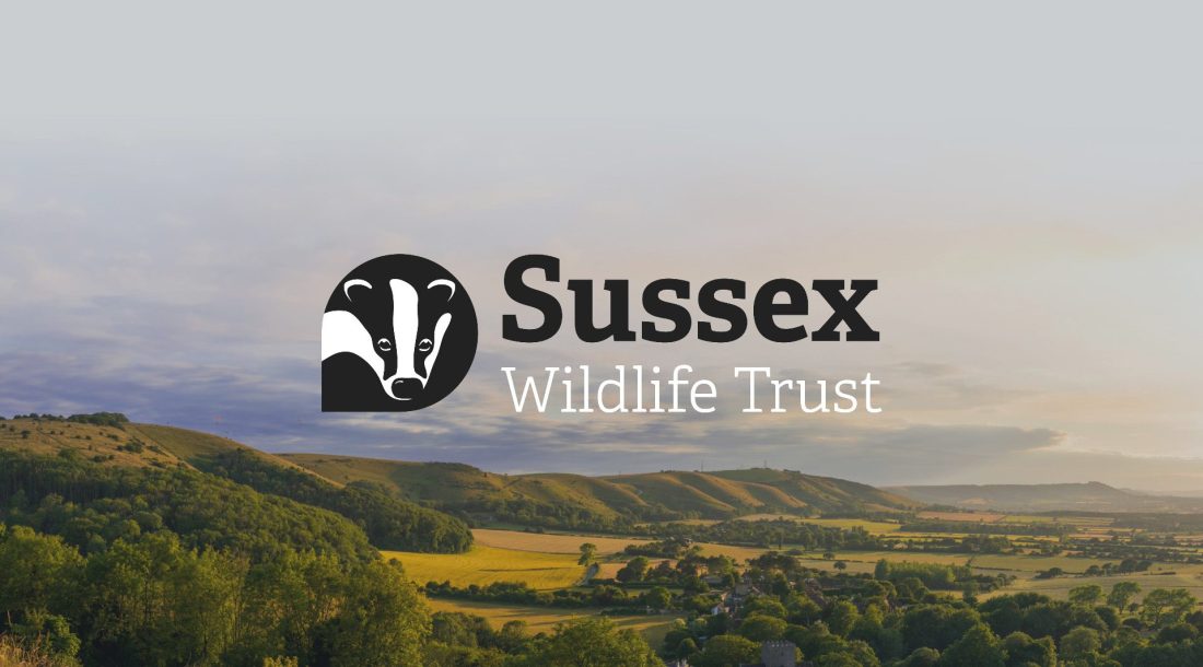 Sussex Wildlife Trust