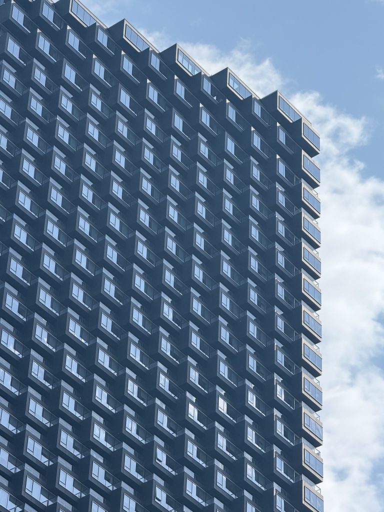 IMG 3133